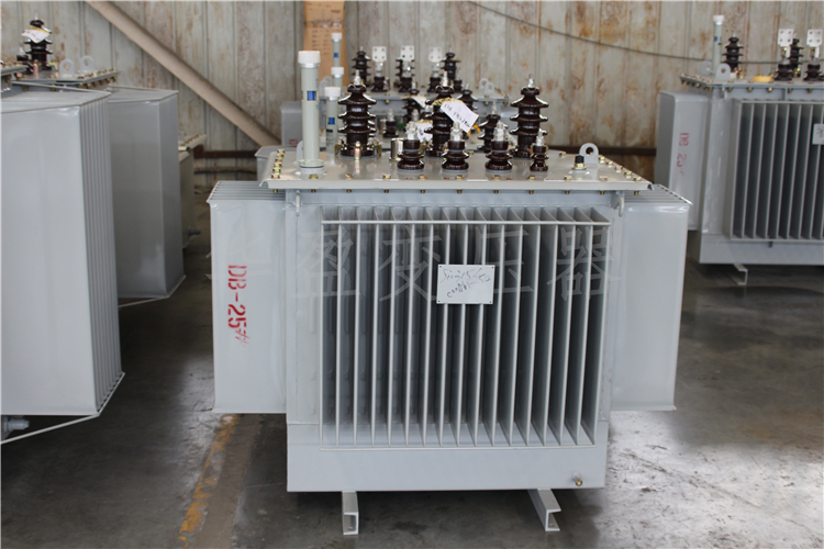 株洲S20-800kVA/10kV/0.4kV变压器